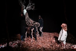 "Król Olch" - Puppentheater Zwickau