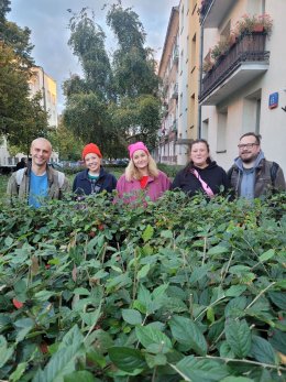 Spektakl improwizowany: Nie mogę spać, bo pilnuję forum