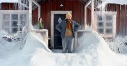 PETTSON I FINDUS