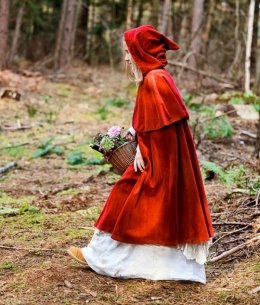 Teatr Młodego Widza - spektakl Czerwony Kapturek w wykonaniu Teatru mplusm