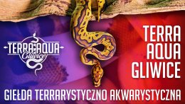 Terra Aqua Gliwice - Giełda Akwarystyczno Terrarystyczna.
