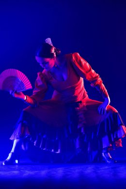 Koncert walentynkowy „Zakochaj się w Filharmonii”