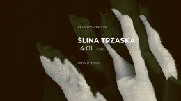 Fala dźwięku 86 - Ślina & Trzaska