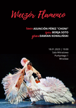 Wieczór Flamenco: Sewilskie Piękno