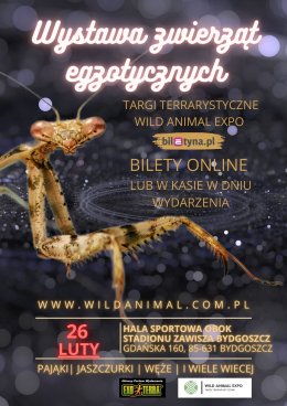 Wystawa zwierząt egzotycznych / Targi Terrarystyczne Wild Animal Expo Bydgoszcz 26-02-2023