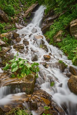 Filharmonia dla malucha – „Przy strumyku”