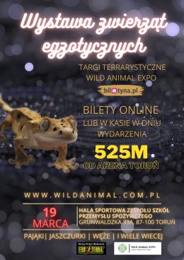 WYSTAWA ZWIERZĄT EGZOTYCZNYCH / TARGI TERRARYSTYCZNE WILD ANIMAL EXPO TORUŃ 19-03-2023