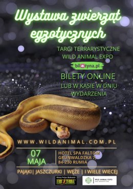 Wystawa zwierząt egzotycznych / Targi Terrarystyczne Wild Animal Expo Rumia 07-05-2023