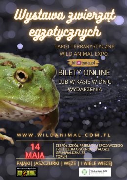 Wystawa zwierząt egzotycznych - Targi terrarystyczne TORUŃ 14-05-2023 Wild Animal Expo