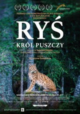 Ryś. Król puszczy.
